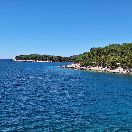 Villa Kamelija Fažana Zewnętrze zdjęcie