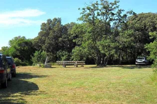Villa Kamelija Fažana Zewnętrze zdjęcie
