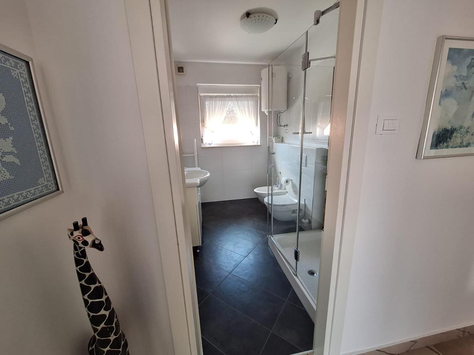 Villa Kamelija Fažana Zewnętrze zdjęcie
